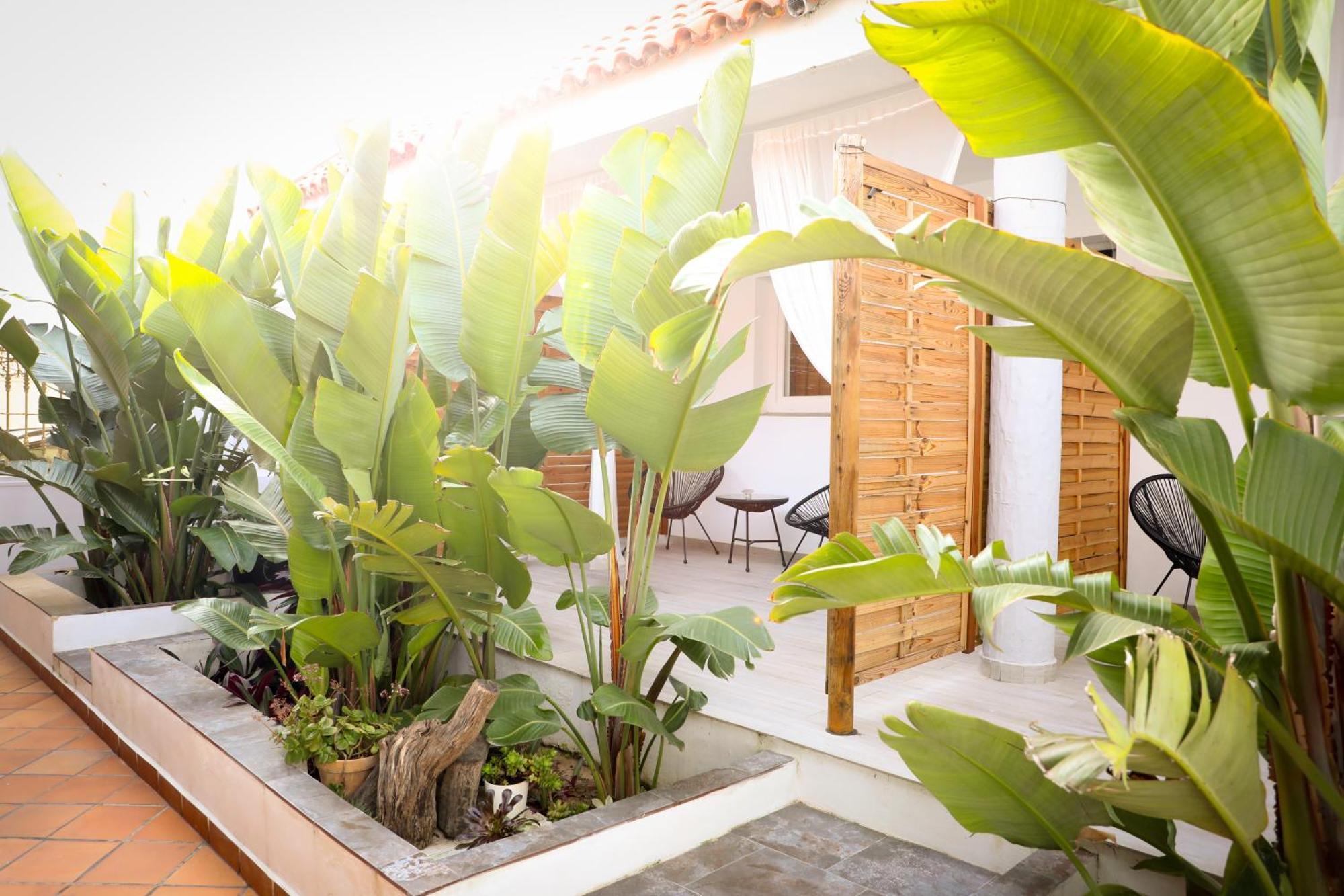 Calas De Meca Los Canos De Meca Ngoại thất bức ảnh